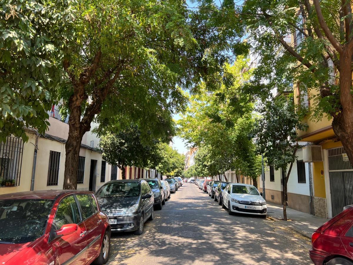 Apartment Loft Ciudad Jardin Cordoba